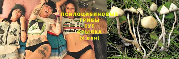 прущие крисы Богданович