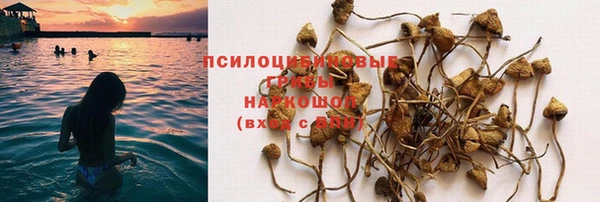 мяу мяу мука Беломорск